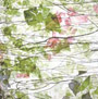 Uroboros - (3mm) - Textural & Specialty Smooth Sheet Glass