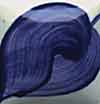 Duncan E-Z Stoke - EZ-023 - Midnight Blue - 1 fluid oz.