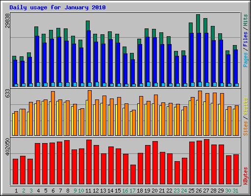 Daily usage for January 2010