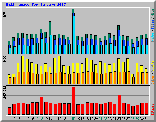 Daily usage for January 2017