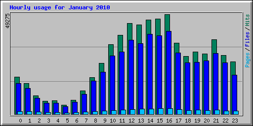 Hourly usage for January 2010