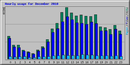 Hourly usage for December 2010