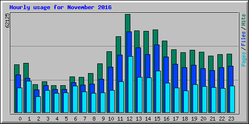 Hourly usage for November 2016