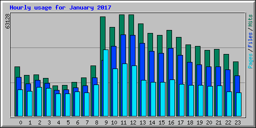 Hourly usage for January 2017