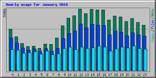 Hourly usage for January 2018