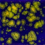 Mayco Jungle Gem - CG-990 - Starry Night -  4 fluid oz.