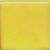 Coyote High-Fire Underglazes - MBUG018 - Yellow - 1 pint