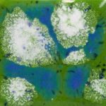 Mayco Crystalite - S-2715 - Spotted Kiwi -  4 fluid oz.