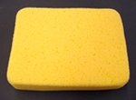 Hydra Sponge - Large