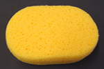 Hydra Sponge -  Medium